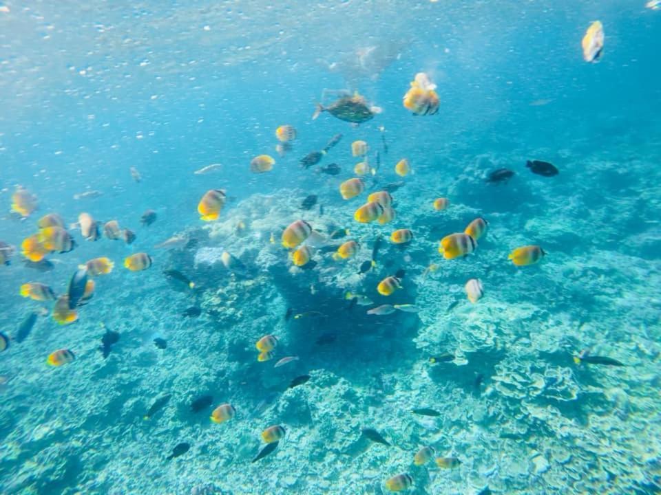 Sealovers' Place Masasa Beach Batangas Esterno foto